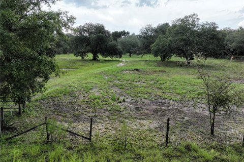 Land in Williston, Florida № 1844508 - photo 8