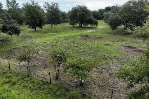 Land in Williston, Florida № 1844508 - photo 3