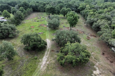 Land in Williston, Florida № 1844508 - photo 4