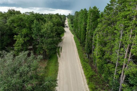 Land in Williston, Florida № 1844508 - photo 10