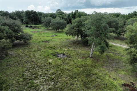 Land in Williston, Florida № 1844508 - photo 2