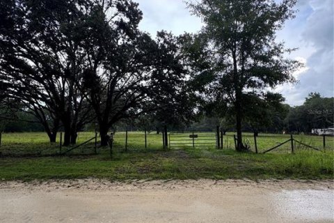 Land in Williston, Florida № 1844508 - photo 11