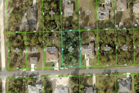 Land in Weeki Wachee, Florida № 1838449 - photo 1