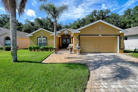 House in Leesburg, Florida 3 bedrooms, 183.57 sq.m. № 2205466