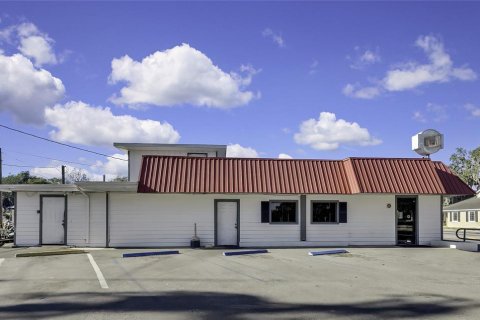 Commercial property in Inverness, Florida № 1564929 - photo 4