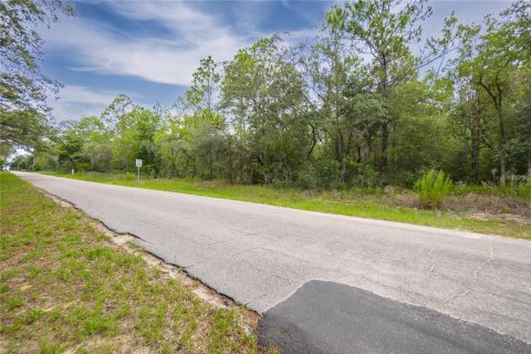 Land in Citrus Springs, Florida № 1792838 - photo 7