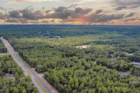 Land in Citrus Springs, Florida № 1792838 - photo 17