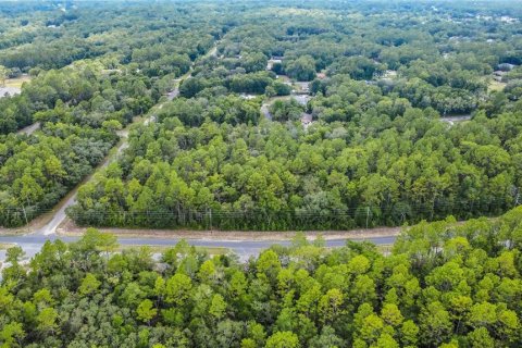 Land in Citrus Springs, Florida № 1792838 - photo 19