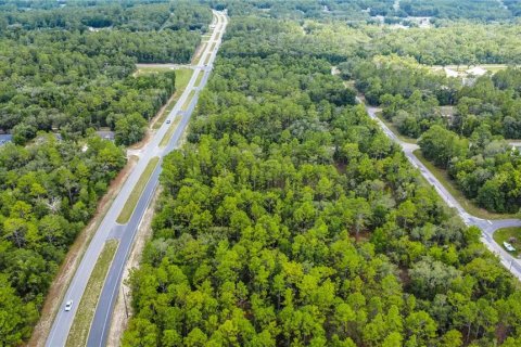 Land in Citrus Springs, Florida № 1792838 - photo 15