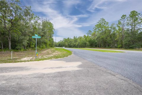Land in Citrus Springs, Florida № 1792838 - photo 9