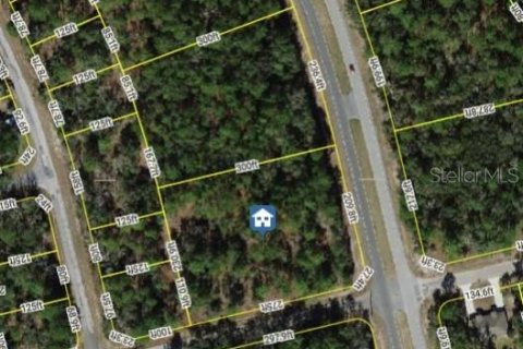 Land in Citrus Springs, Florida № 1792838 - photo 3