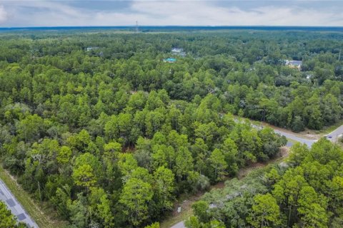 Land in Citrus Springs, Florida № 1792838 - photo 11