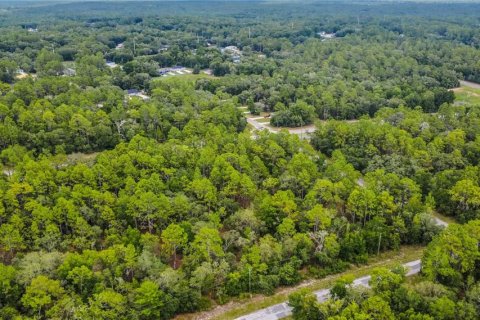 Land in Citrus Springs, Florida № 1792838 - photo 13