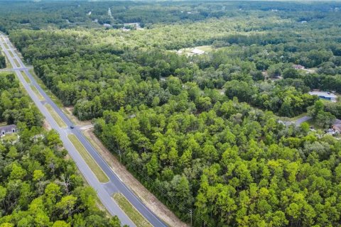 Land in Citrus Springs, Florida № 1792838 - photo 16