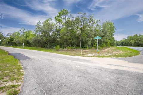 Land in Citrus Springs, Florida № 1792838 - photo 8