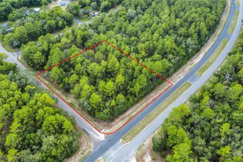 Land in Citrus Springs, Florida № 1792838 - photo 2