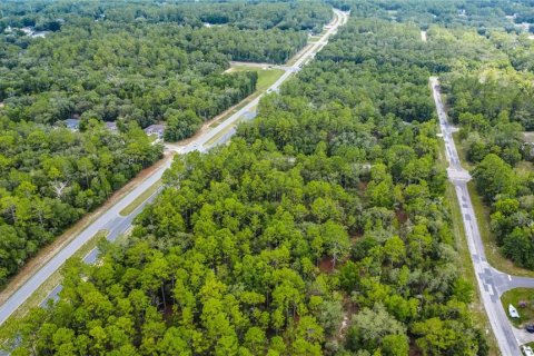 Land in Citrus Springs, Florida № 1792838 - photo 14