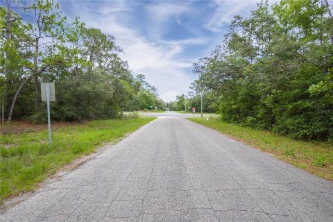 Land in Citrus Springs, Florida № 1792838 - photo 5