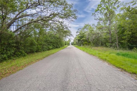 Land in Citrus Springs, Florida № 1792838 - photo 6