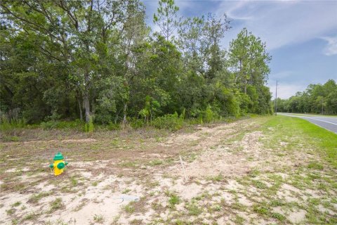 Land in Citrus Springs, Florida № 1792838 - photo 22