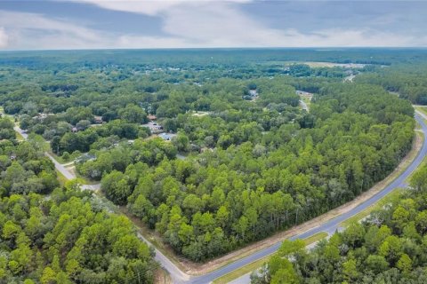 Land in Citrus Springs, Florida № 1792838 - photo 21
