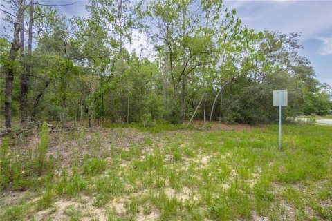 Land in Citrus Springs, Florida № 1792838 - photo 4