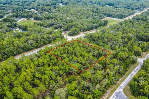 Land in Citrus Springs, Florida № 1792838 - photo 1