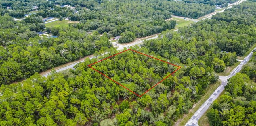 Land in Citrus Springs, Florida № 1792838