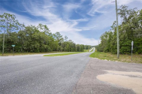 Land in Citrus Springs, Florida № 1792838 - photo 23