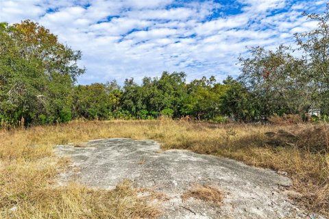 Terreno en venta en Hudson, Florida № 1560262 - foto 21