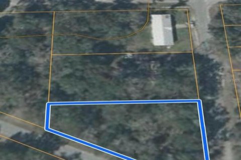 Land in Trenton, Florida № 2165235 - photo 2