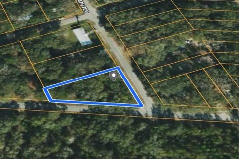 Land in Trenton, Florida № 2165235 - photo 3