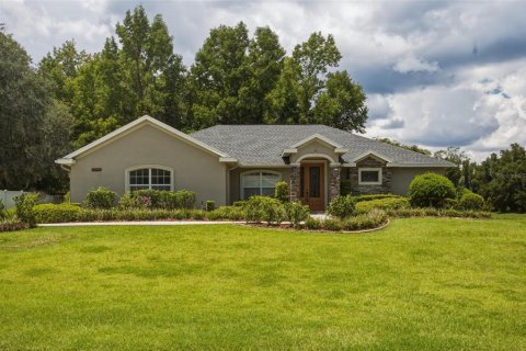 House in Belleview, Florida 3 bedrooms, 189.24 sq.m. № 2315206