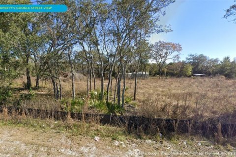 Immobilier commercial à vendre à Hudson, Floride: 557.41 m2 № 1205311 - photo 14