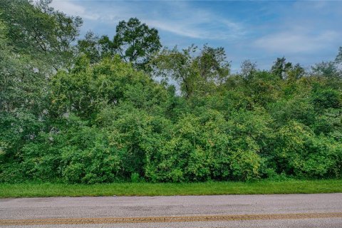 Terreno en venta en Starke, Florida № 1348995 - foto 10