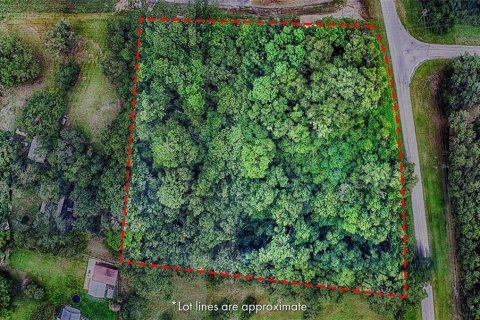Terreno en venta en Starke, Florida № 1348995 - foto 4