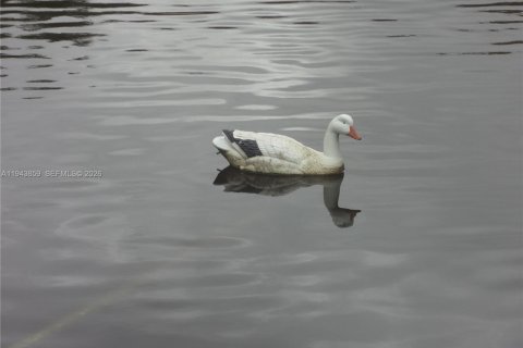 Condo in Plantation, Florida, 1 bedroom  № 2000812 - photo 19
