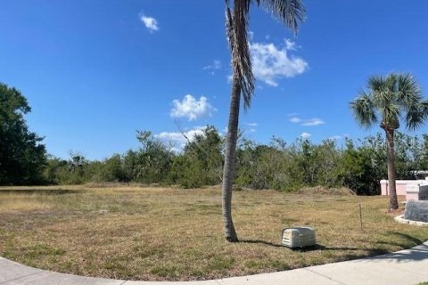 Land in North Port, Florida № 1673713 - photo 4