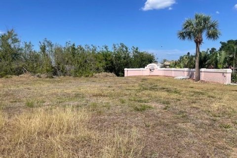 Land in North Port, Florida № 1673713 - photo 2