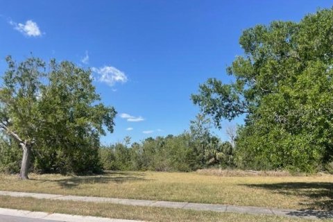 Land in North Port, Florida № 1673713 - photo 6