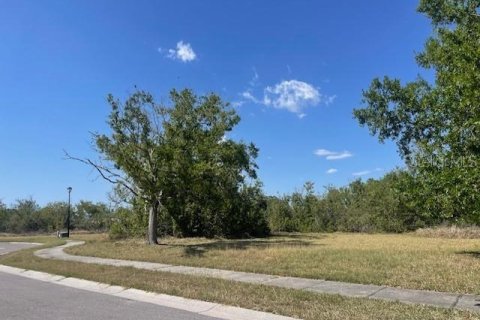 Land in North Port, Florida № 1673713 - photo 5