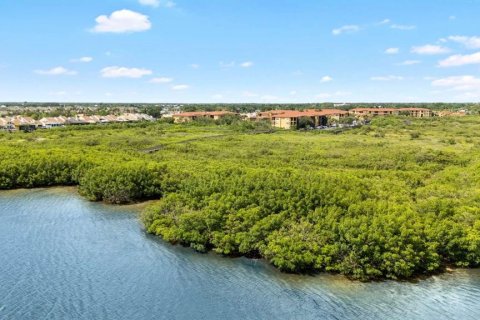 Condo in Tampa, Florida, 1 bedroom  № 1411328 - photo 22