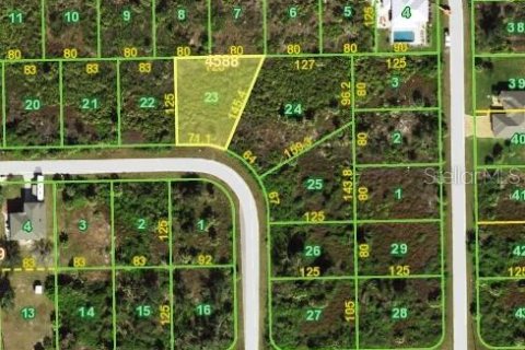 Land in Port Charlotte, Florida № 2213091 - photo 2