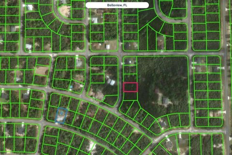 Land in Ocklawaha, Florida № 2160849