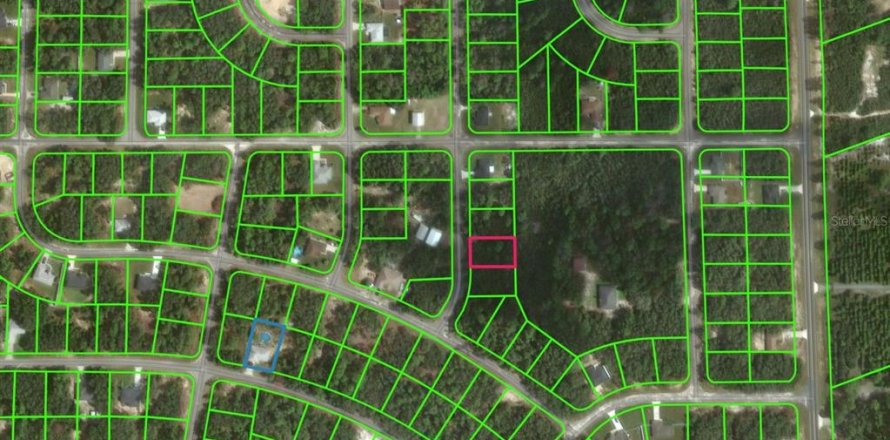 Land in Ocklawaha, Florida № 2160849