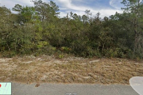 Land in Ocklawaha, Florida № 2160849 - photo 2