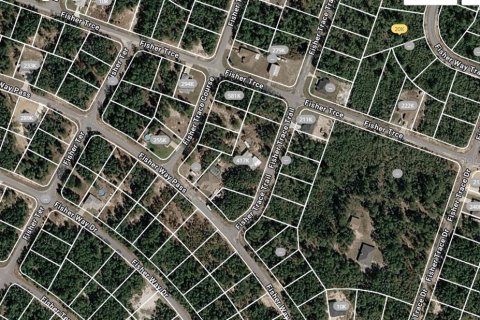 Land in Ocklawaha, Florida № 2160849 - photo 3
