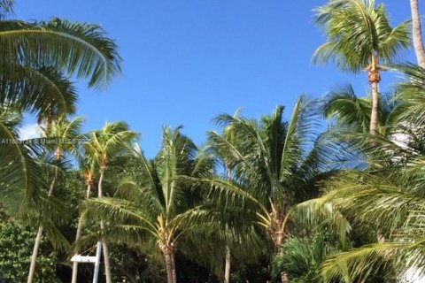 Copropriété à vendre à Miami, Floride: 1 chambre, 67.17 m2 № 1930462 - photo 14