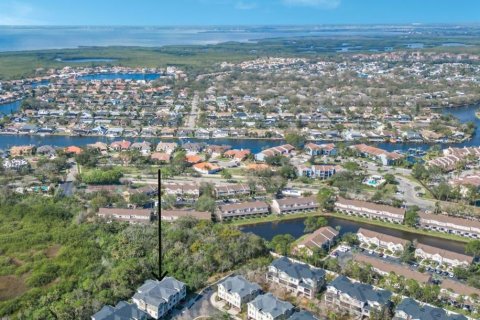 Adosado en venta en Tampa, Florida, 2 dormitorios, 160.16 m2 № 1531352 - foto 2