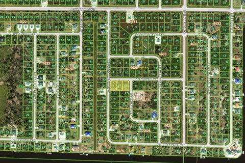 Land in Port Charlotte, Florida № 2166484 - photo 3
